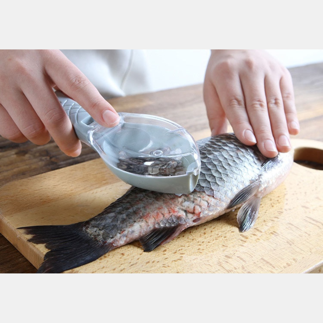 Fischschuppenbürste | Müheloses Entfernen von Fischschuppen